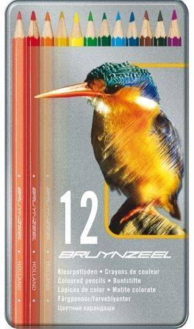 Kleurpotloden Bruynzeel vogel: 12 stuks (8511M12)
